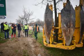 Operacja przesadzania drzew w czasie budowy połączenia ul. Jaskrowskiej i Warszawskiej w Częstochowie.